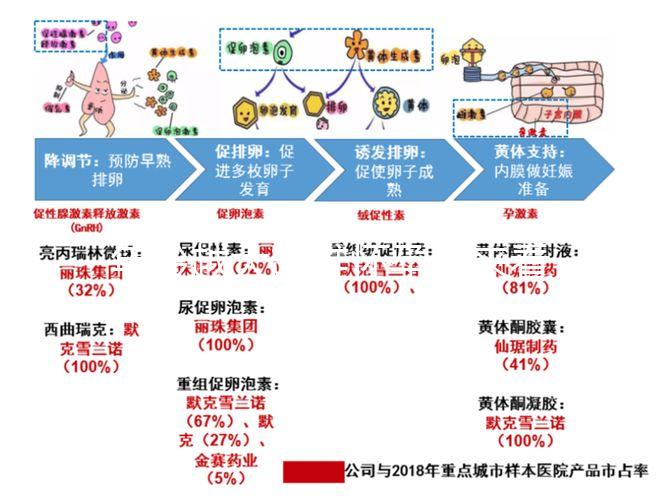 年齡越大越難懷孕!來看看44歲試管嬰兒的成功率有多少?