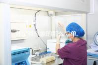 并沒(méi)有想象的那么簡(jiǎn)單,揭秘試管胚胎移植全過(guò)程(9圖)