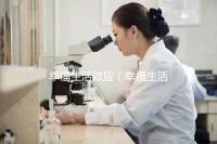 幸福生活效應（幸福生活的概念）