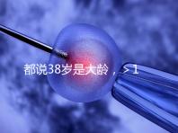 都說38歲是大齡，＞12個卵泡試管嬰兒一次成功率有幾何？