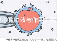 酸棗的功效與作用（酸棗與酸棗仁的區別）