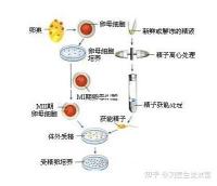 選對成功一半！來看看海南哪家醫(yī)院能做三代試管嬰兒