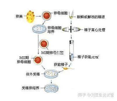 選對成功一半！來看看海南哪家醫院能做三代試管嬰兒