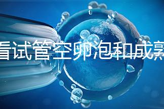 速看試管空卵泡和成熟卵泡能否區分開，這兩大技巧學起來