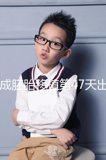 造成胚胎移植第47天出血的5個因素,準(zhǔn)媽媽們一定要注意!