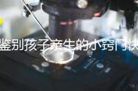 鑒別孩子親生的小竅門快收藏，取牙刷樣本準不準分情況