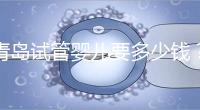 青島試管嬰兒要多少錢？年度總費(fèi)用清單，你覺得貴嗎？