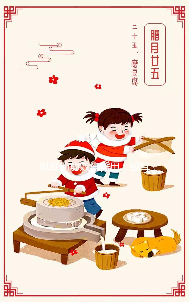 銀耳的功效與作用(銀耳傷腎還是補腎)