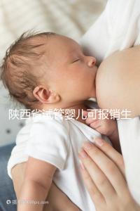 陜西省試管嬰兒可報銷生育險？專家：納入醫保時間還未確定