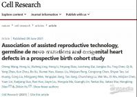 胎夢新解:孕婦夢見鹿預示現實中將要發(fā)生的事情分析