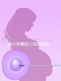 胎心率看胎兒性別準嗎,因為這3種情況所以不行