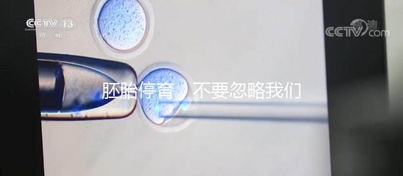 胚胎停育,不要忽略我們身邊的“隱形殺手”