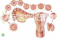 聊城人民醫院試管嬰兒成功率怎么樣，3大助孕案例告訴你答案