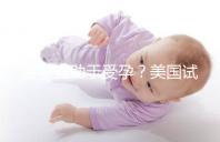 菠蘿有助于受孕？美國(guó)試管嬰兒移植后的5個(gè)冷知識(shí)都看看