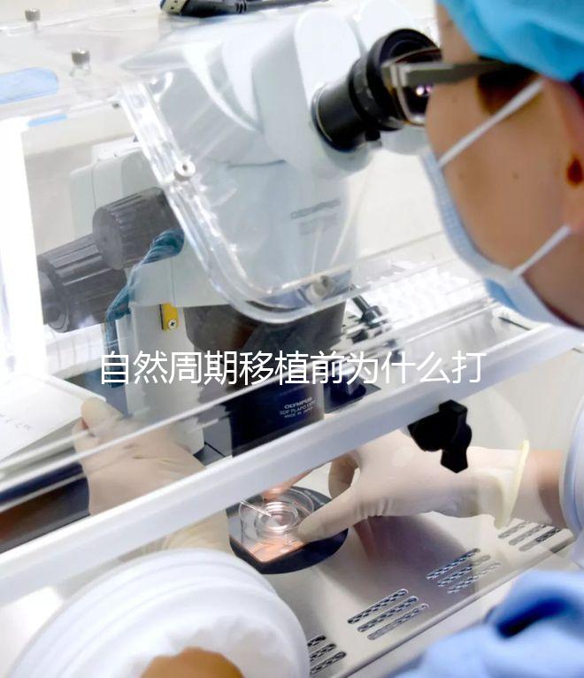 自然周期移植前為什么打絨促？作用不僅是提升妊娠率