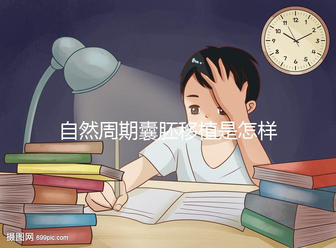 自然周期囊胚移植是怎樣的？5個步驟囊括所有流程