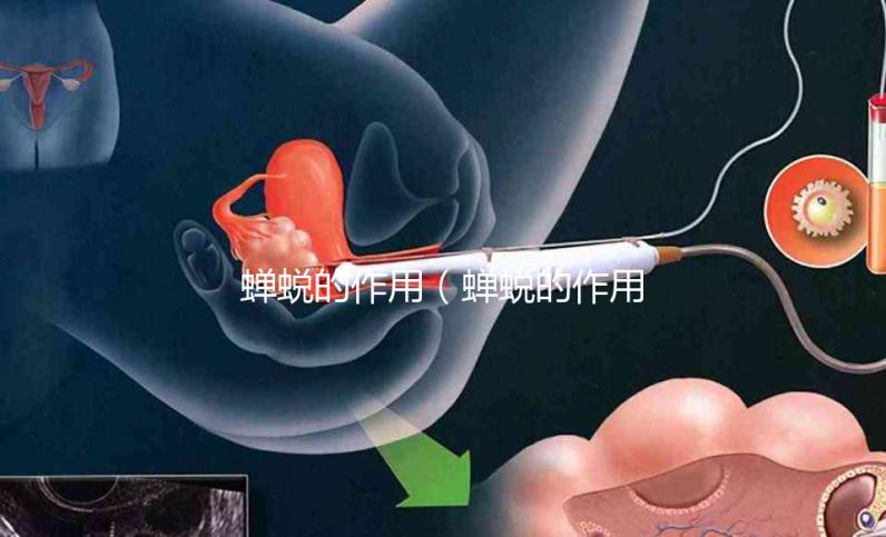 蟬蛻的作用(蟬蛻的作用和功效)