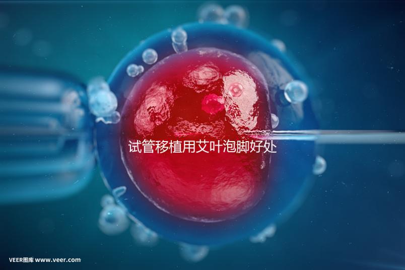 試管移植用艾葉泡腳好處多,幫助胚胎著床僅為其作用之一