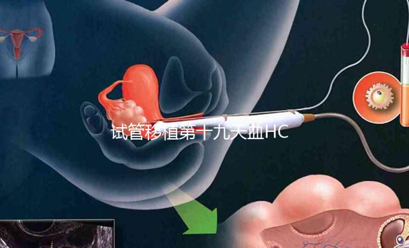 試管移植第十九天血HCG值多少正常？還有胎兒圖片在這里