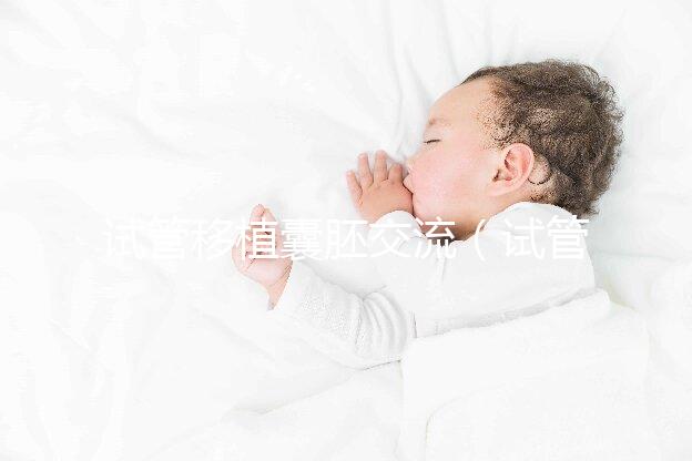 試管移植囊胚交流(試管 囊胚移植)