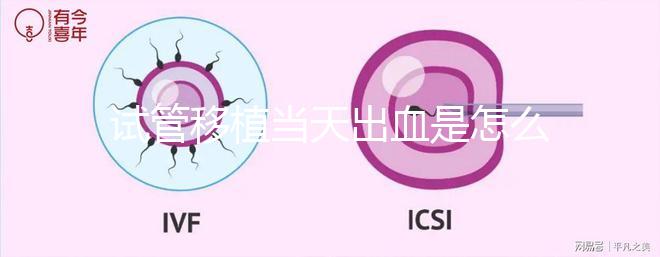 試管移植當(dāng)天出血是怎么回事?收好你的“玻璃心”別太擔(dān)心