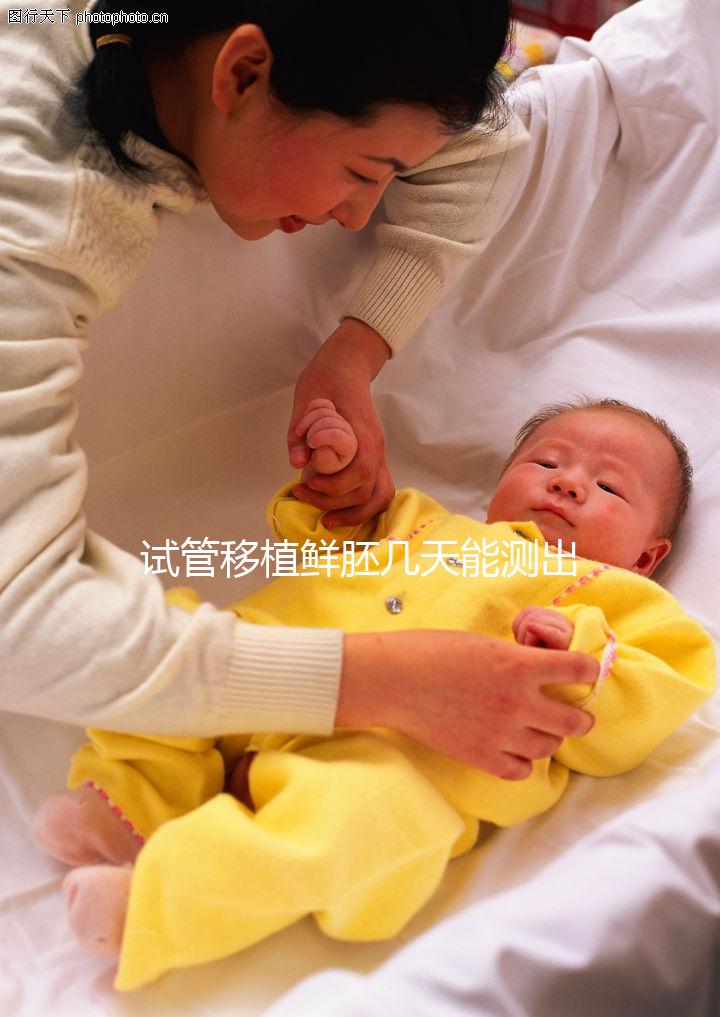 試管移植鮮胚幾天能測出?移植8天后會有這些成功征兆