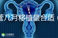 試管幾月移植最合適（試管幾月移植最合適呢）