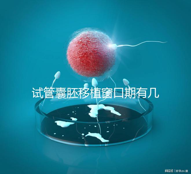 試管囊胚移植窗口期有幾天看這，弄明白什么時候更易著床