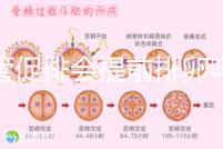 試管促排會(huì)提前排卵嗎（促排會(huì)不會(huì)提前排卵）