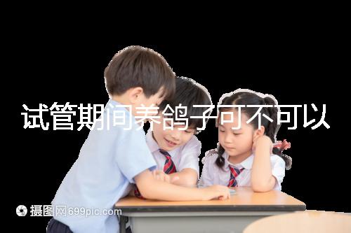 試管期間養(yǎng)鴿子可不可以大揭秘，影響抵抗力千萬注意