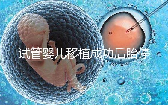 試管嬰兒移植成功后胎停(試管嬰兒為什么會(huì)胎停)