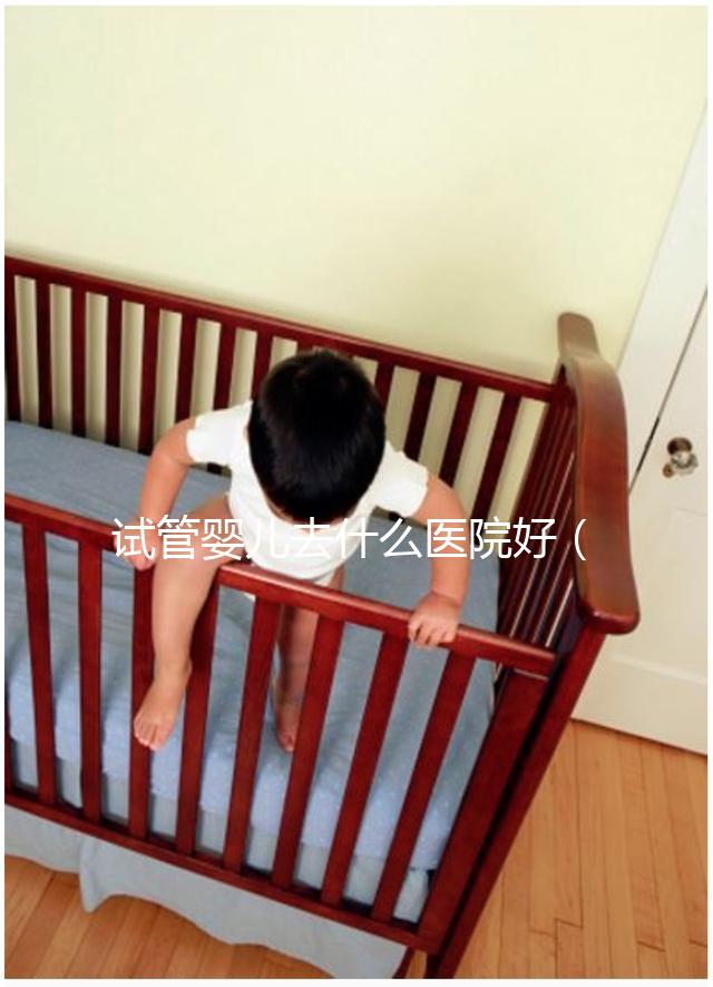 試管嬰兒去什么醫(yī)院好(試管嬰兒去什么醫(yī)院好一點(diǎn))