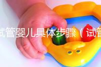 試管嬰兒具體步驟（試管嬰兒具體步驟準(zhǔn)備）