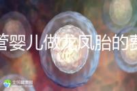 試管嬰兒做龍鳳胎的費用并不高，而且成功率也相當(dāng)有保障