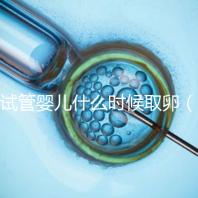 試管嬰兒什么時(shí)候取卵（試管嬰兒什么時(shí)候取卵和移植）