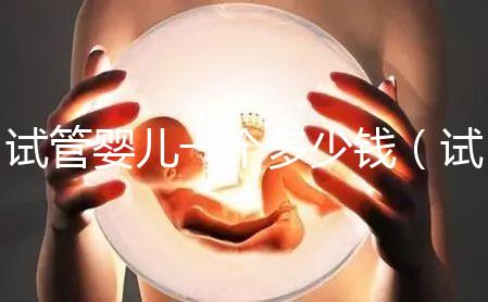 試管嬰兒一個多少錢(試管嬰兒多錢一次)