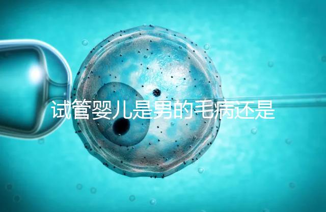 試管嬰兒是男的毛病還是女的毛?。ㄔ嚬軏雰菏悄械拿∵€是女的毛病呢）