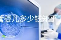 試管嬰兒多少錢(qián)知乎（試管嬰兒多少錢(qián) 知乎）