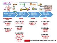 試管嬰兒胚胎（試管嬰兒胚胎培養(yǎng)需要多長時間）