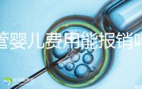 試管嬰兒費(fèi)用能報(bào)銷嗎醫(yī)保（試管嬰兒費(fèi)用能報(bào)銷嗎醫(yī)保報(bào)銷嗎）