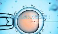 試管嬰兒超長(zhǎng)方案流程（長(zhǎng)方案試管詳細(xì)流程）