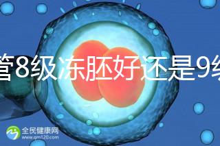 試管8級(jí)凍胚好還是9級(jí)好進(jìn)來(lái)瞧,看完二者區(qū)別全明白