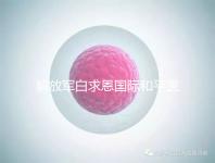 解放軍白求恩國(guó)際和平醫(yī)院（中國(guó)人民解放軍白求恩國(guó)際和平醫(yī)院）