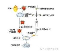 輪狀病毒疫苗雖非終身免疫，寶寶接種的好處不止一點