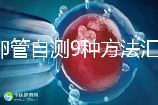 輸卵管自測9種方法匯總，試紙+晨尿怎么用最準有竅門