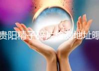 貴陽精子碎片檢測地址曝光，云巖區醫院能看完嗎？