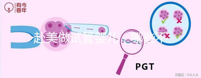 赴美做試管嬰兒，哪些不孕類問題更容易成功？