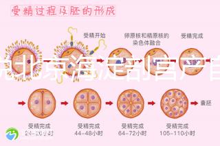 誰說北京海淀剖宮產自付費用高，了解2024年生育保險報銷比例？