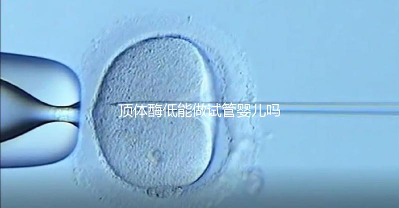 頂體酶低能做試管嬰兒嗎？你想知道的答案全在這