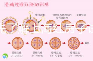 預先了解上海紅房子試管建檔流程,最快當天可定方案